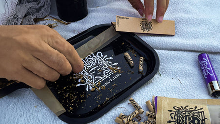 Joint 101 - Alles, was du über Joints und deren Wirkung wissen musst image