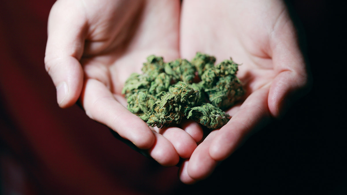 Mit CBD abnehmen