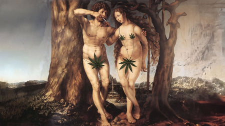 La colorata storia del joint - un viaggio alle origini image