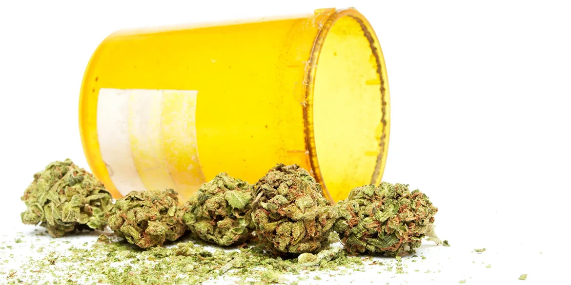 wie lange ist cannabis haltbar hanf haltbarkeit
