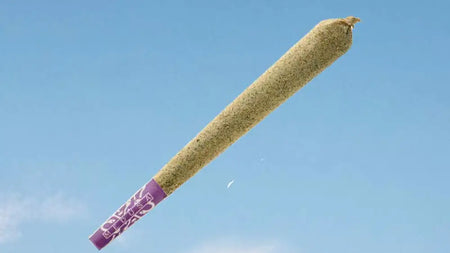 The perfect joint in 7 easy steps image