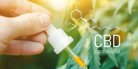 Alles über CBD: Wirkungsweisen, Anwendungen und Sicherheit von Cannabidiol image