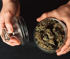 luftaustausch burping cannabis lagerung