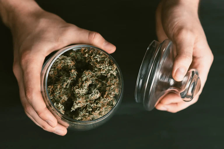 wie kann man cannanis lange frisch halten gras aufbewahren in glasdose 