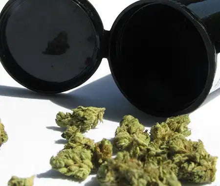 Getrocknetes Cannabis
