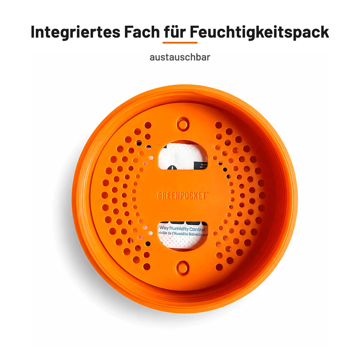 Deckel der Green Pocket Sunset von innen mit Sieb-Einsatz und Fach für das Feuchtigkeits-Pack