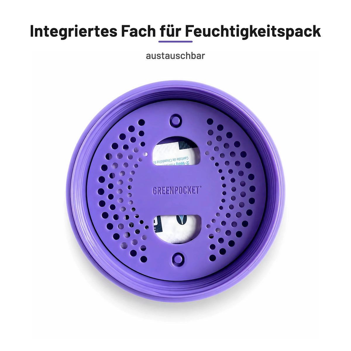 Deckel der Green Pocket Violet von innen mit Sieb-Einsatz und Fach für das Feuchtigkeits-Pack